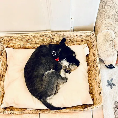 Apartment Historic House Near Montreux, Leysin And Villars *