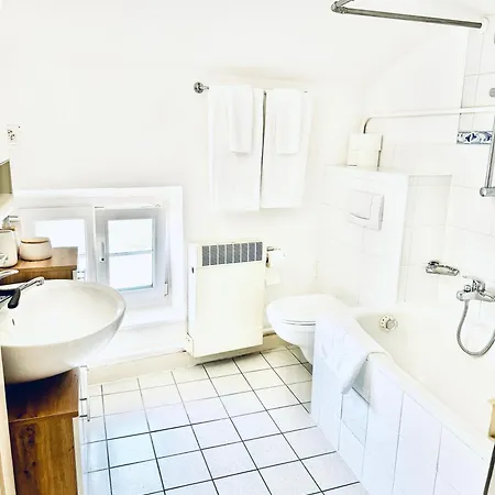 Historic House Near Montreux, Leysin And Villars Aigle