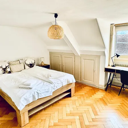 Historic House Near Montreux, Leysin And Villars