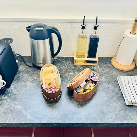 Historic House Near Montreux, Leysin And Villars Apartment *