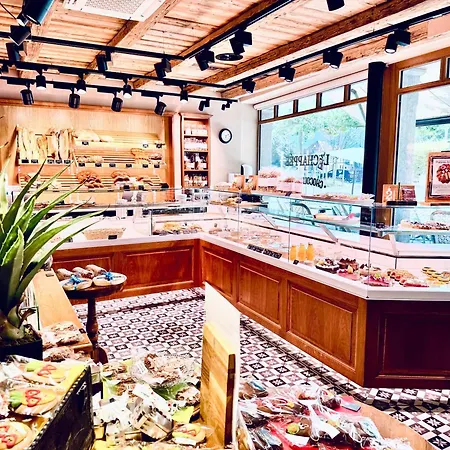 Apartment Historic House Near Montreux, Leysin And Villars