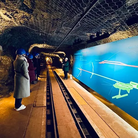 Apartament Historic House Aigle - Lake & Alps - Garden & Bbq *