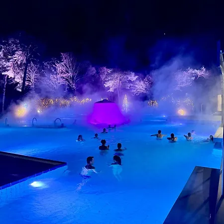 Historic House Aigle - Lake & Alps - Garden & Bbq *