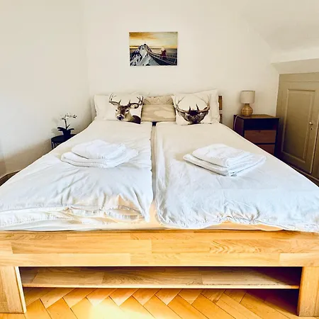 Historic House Aigle - Lake & Alps - Garden & Bbq Apartment