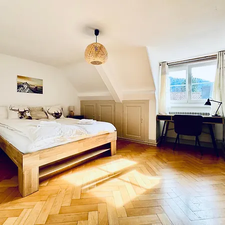 Appartement Historic House near Montreux, Leysin&Villars