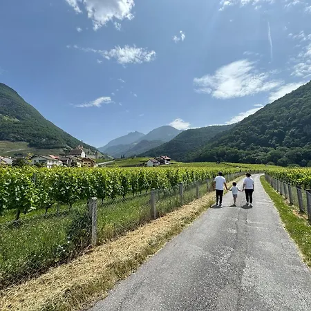 Historic House Aigle - Lake & Alps - Garden & Bbq *