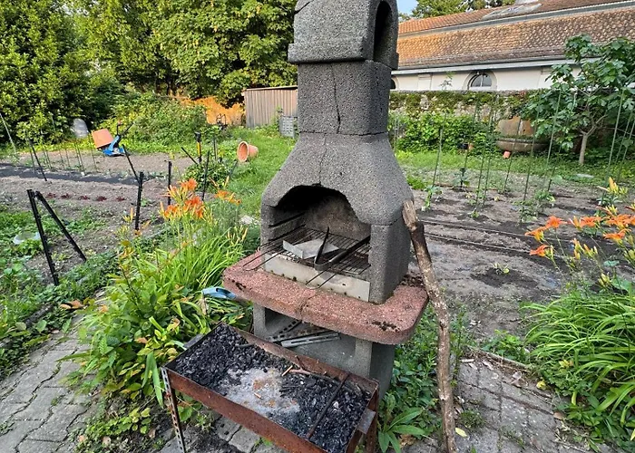 Historic House Aigle - Lake & Alps - Garden & Bbq Apartament *