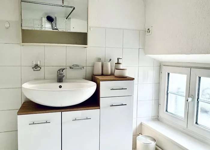 Historic House Aigle - Lake & Alps - Garden & Bbq Apartament *