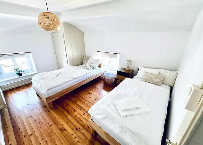 Historic House Aigle - Lake & Alps - Garden & Bbq Apartament