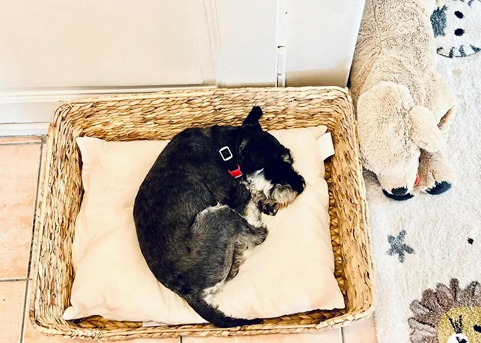 Διαμέρισμα Historic House Aigle - Lake & Alps - Garden & Bbq *