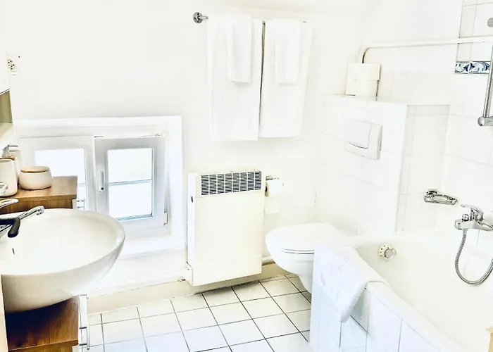 Historic House Aigle - Lake & Alps - Garden & Bbq Aigle