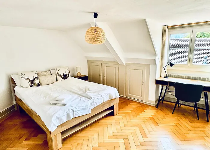 Historic House near Montreux, Leysin&Villars