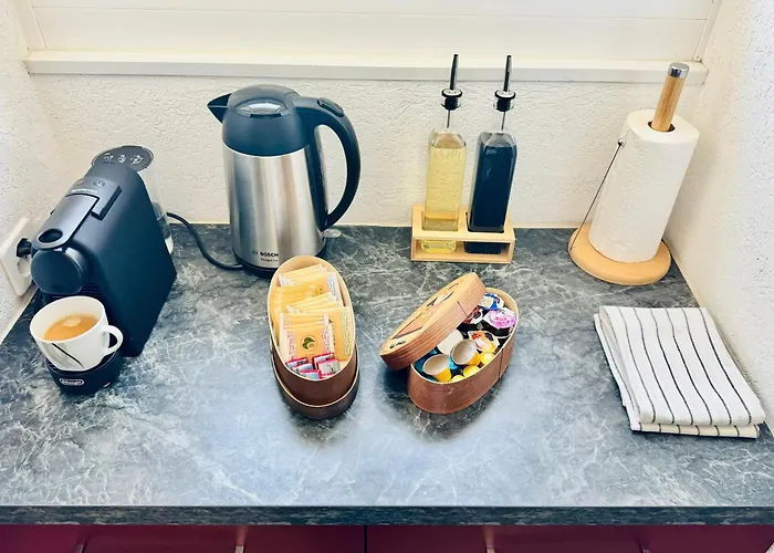 Historic House Aigle - Lake & Alps - Garden & Bbq Διαμέρισμα *