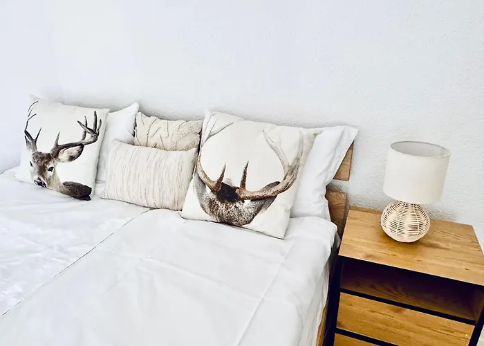 Appartement Historic House near Montreux, Leysin&Villars