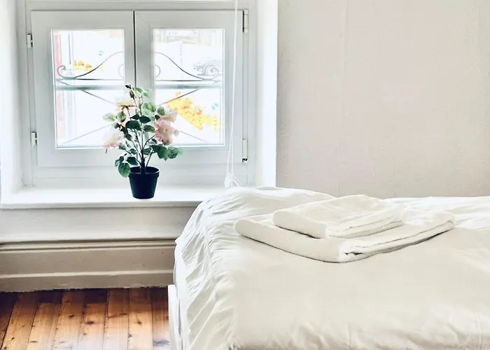 Apartment Historic House Aigle - Lake & Alps - Garden & Bbq Aigle