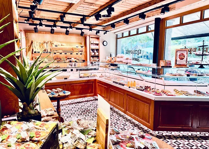 Appartement Historic House near Montreux, Leysin&Villars