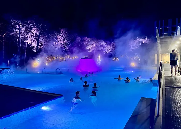 Historic House Aigle - Lake & Alps - Garden & Bbq *