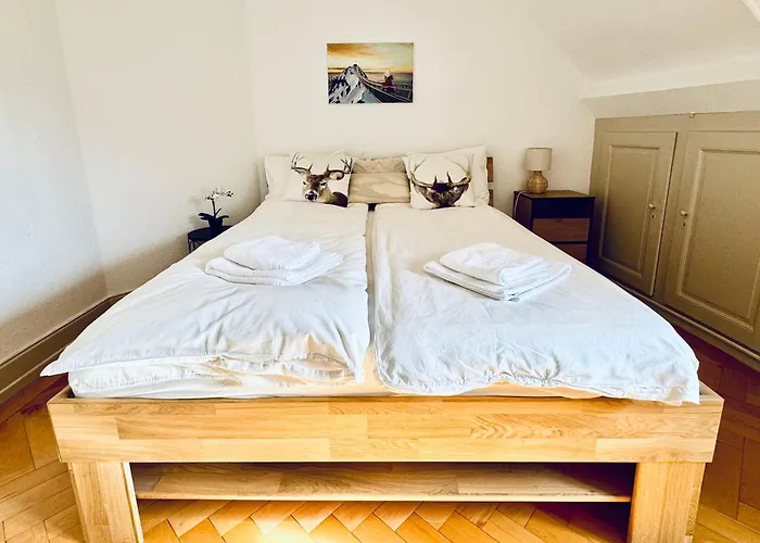 Historic House Aigle - Lake & Alps - Garden & Bbq Διαμέρισμα