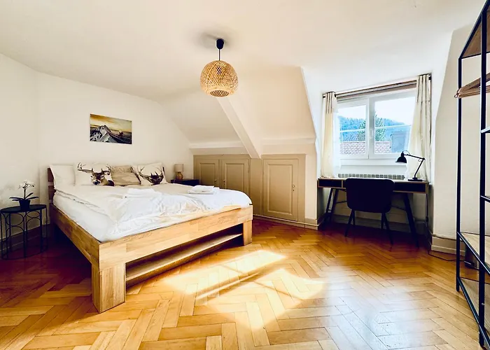 Διαμέρισμα Historic House Aigle - Lake & Alps - Garden & Bbq