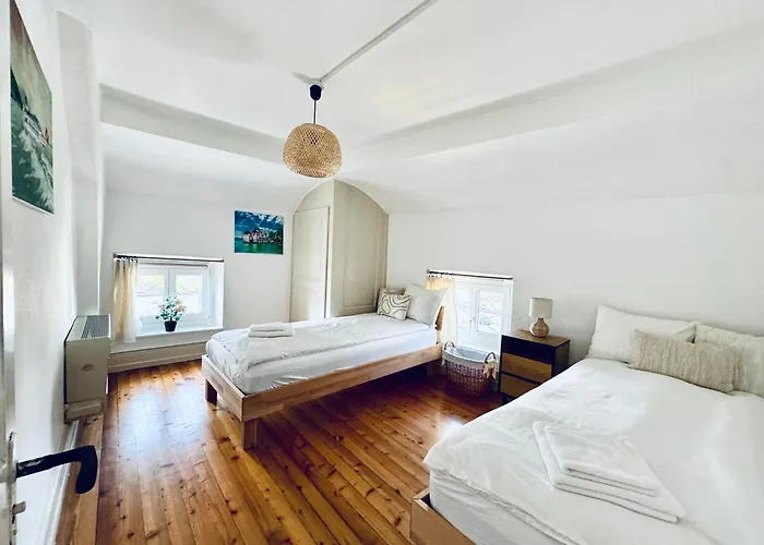 Historic House Aigle - Lake & Alps - Garden & Bbq *