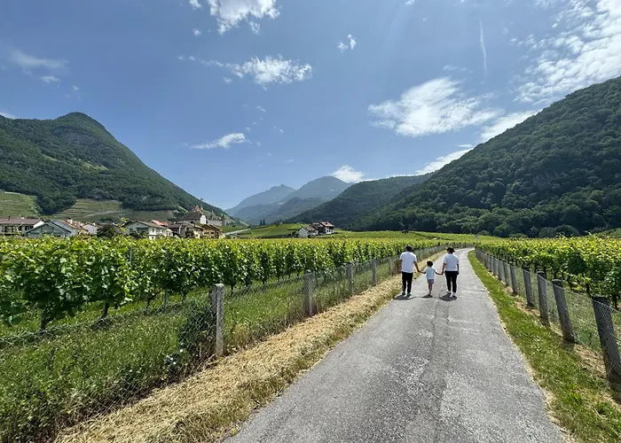 Historic House Aigle - Lake & Alps - Garden & Bbq *