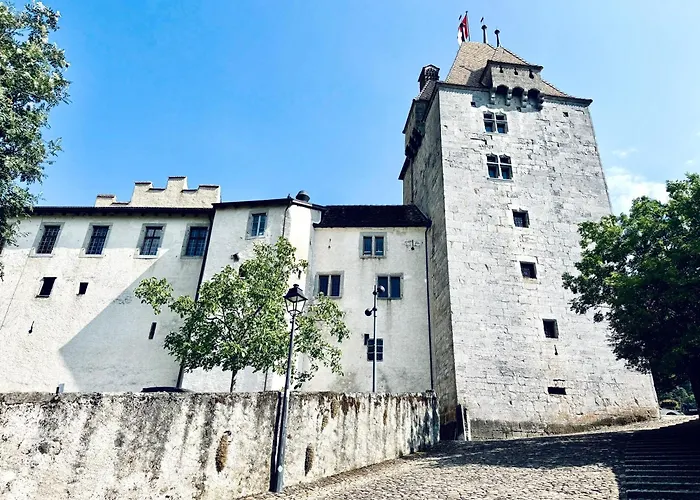 Historic House Aigle - Lake & Alps - Garden & Bbq Apartment