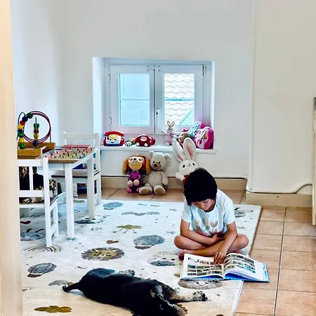 Daire Historic House - & Alps - Garden & Bbq Aigle