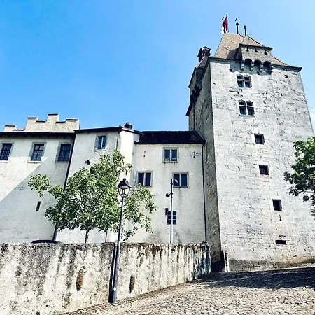 Historic House - & Alps - Garden & Bbq Daire